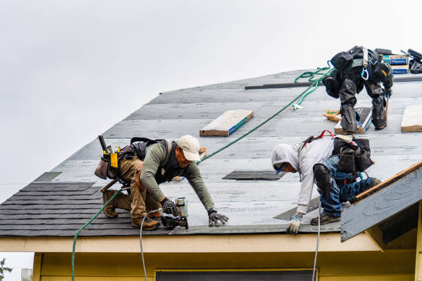 Professional Roofing technician working in Brockport, NY